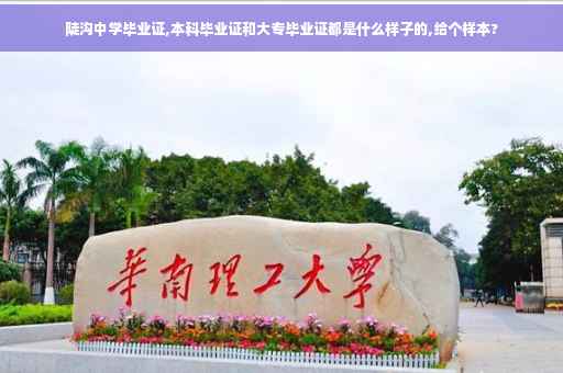 陡沟中学毕业证,本科毕业证和大专毕业证都是什么样子的,给个样本?