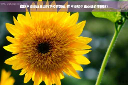 信阳不需要毕业证的学校有哪些,有 不要初中毕业证的技校吗?