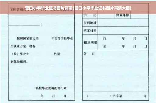 营口小学毕业证书图片高清(营口小学毕业证书图片高清大图)