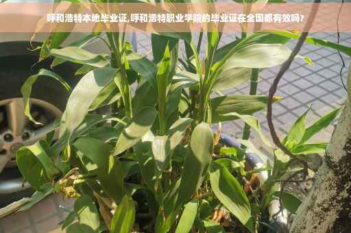 呼和浩特本地毕业证,呼和浩特职业学院的毕业证在全国都有效吗?