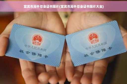 宜宾市高中毕业证书图片(宜宾市高中毕业证书图片大全)