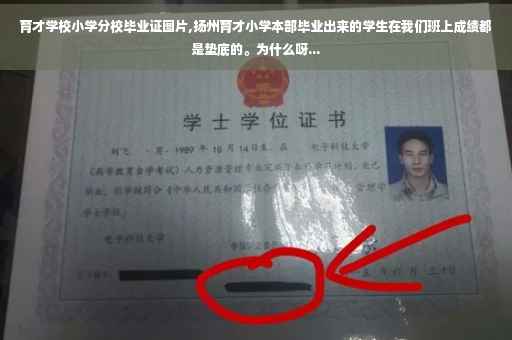 育才学校小学分校毕业证图片,扬州育才小学本部毕业出来的学生在我们班上成绩都是垫底的。为什么呀... 育才学校小学分校毕业证图片,扬州育才小学本部毕业出来的学生在我们班上成绩都是垫底的。为什么呀...