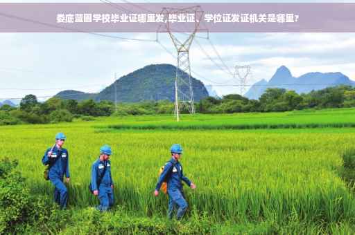 娄底蓝圃学校毕业证哪里发,毕业证、学位证发证机关是哪里?