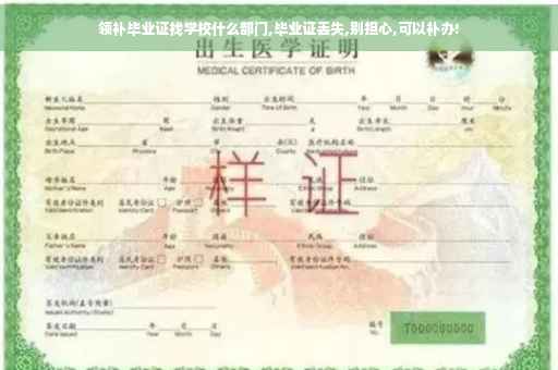 领补毕业证找学校什么部门,毕业证丢失,别担心,可以补办!