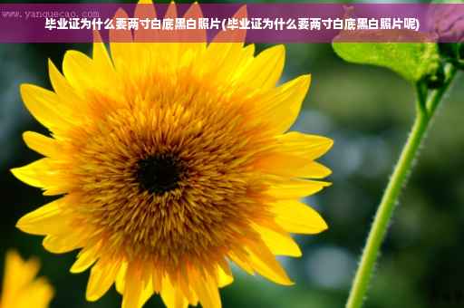 毕业证为什么要两寸白底黑白照片(毕业证为什么要两寸白底黑白照片呢)