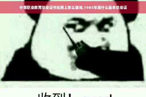 中等职业教育毕业证书在网上怎么查询,1985年是什么版本毕业证