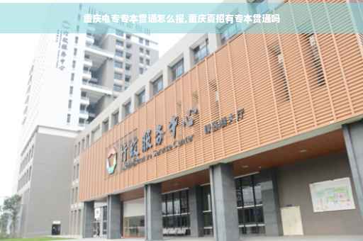 重庆电专专本贯通怎么报,重庆夏招有专本贯通吗