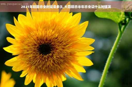 2021年延期毕业时间是多久,大四延毕半年毕业证什么时候发