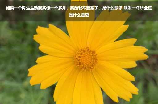如果一个男生主动联系你一个多月，突然就不联系了，是什么意思,晚发一年毕业证是什么意思