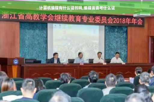 计算机编程有什么证书吗,编程需要考什么证