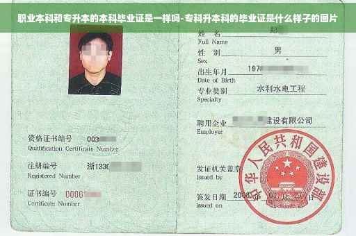职业本科和专升本的本科毕业证是一样吗-专科升本科的毕业证是什么样子的图片