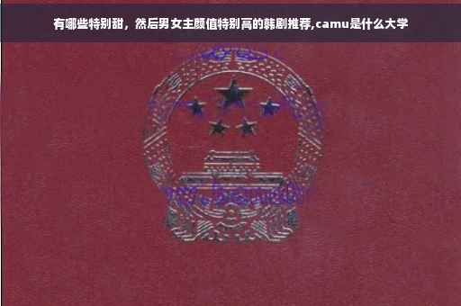 有哪些特别甜，然后男女主颜值特别高的韩剧推荐,camu是什么大学