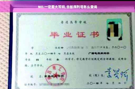 NO.一定要大写吗,主板序列号怎么查询