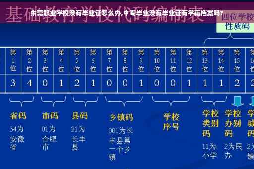 东莞职业学校没有毕业证怎么办,中专毕业没有毕业证有学籍档案吗?