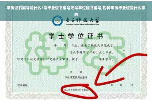 学历证书编号是什么?是毕业证书编号还是学位证书编号,四种学历毕业证是什么样的