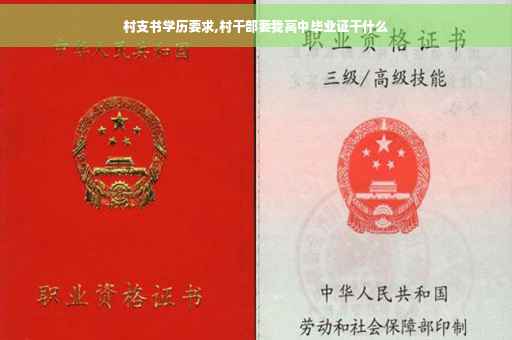 村支书学历要求,村干部要我高中毕业证干什么