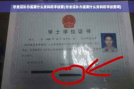 毕业证补办需要什么资料和手续费(毕业证补办需要什么资料和手续费呢)