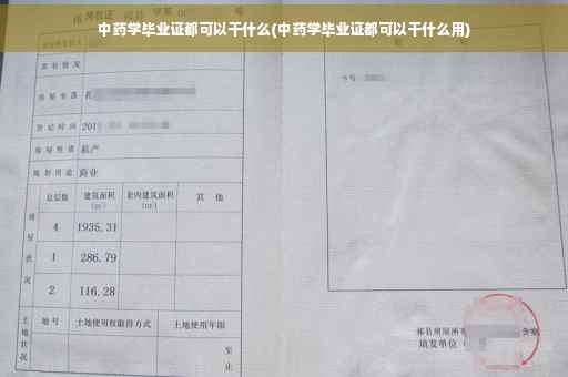 中药学毕业证都可以干什么(中药学毕业证都可以干什么用)