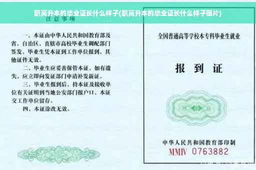 职高升本的毕业证长什么样子(职高升本的毕业证长什么样子图片)