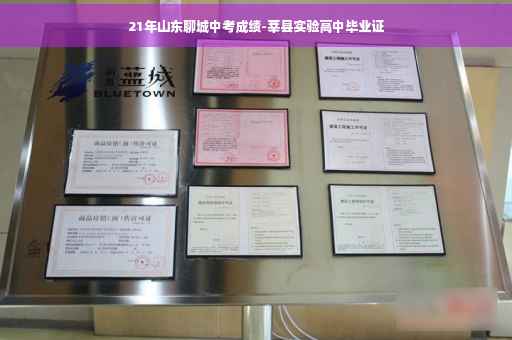 21年山东聊城中考成绩-莘县实验高中毕业证