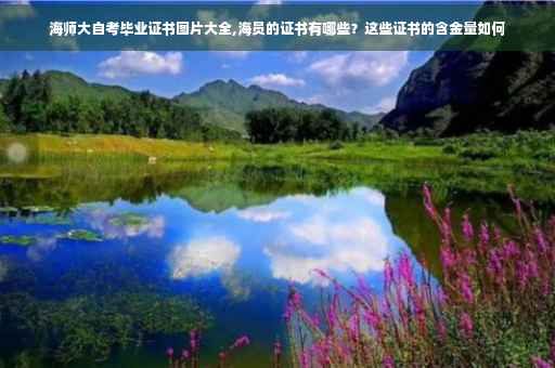海师大自考毕业证书图片大全,海员的证书有哪些?这些证书的含金量如何 海师大自考毕业证书图片大全,海员的证书有哪些?这些证书的含金量如何