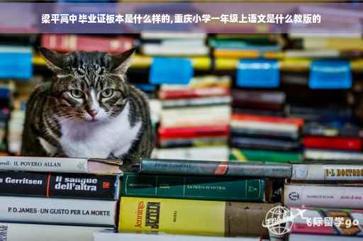 梁平高中毕业证板本是什么样的,重庆小学一年级上语文是什么教版的