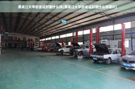 黑龙江大学毕业证封面什么样(黑龙江大学毕业证封面什么样图片)