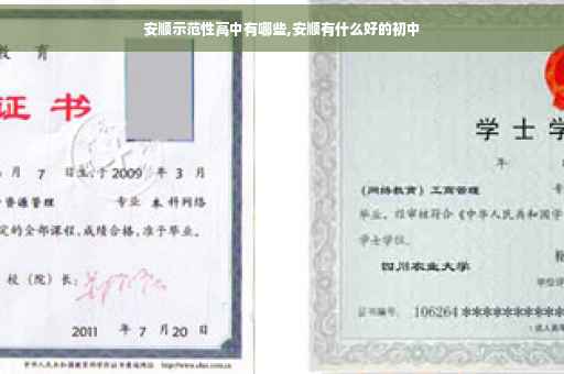 安顺示范性高中有哪些,安顺有什么好的初中