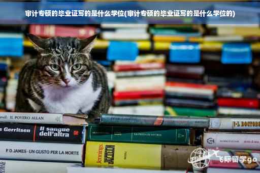 审计专硕的毕业证写的是什么学位(审计专硕的毕业证写的是什么学位的)