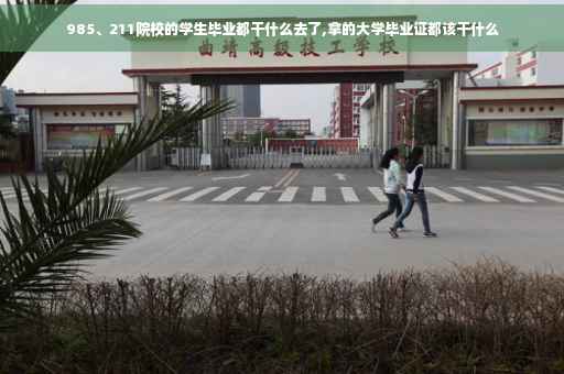 985、211院校的学生毕业都干什么去了,拿的大学毕业证都该干什么
