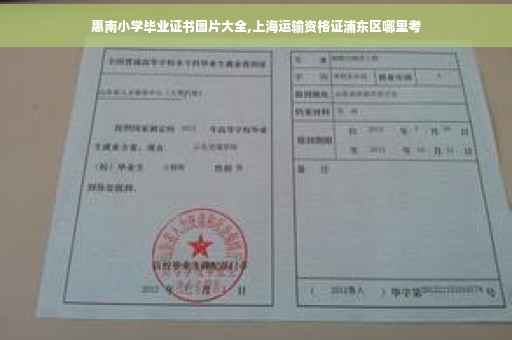 惠南小学毕业证书图片大全,上海运输资格证浦东区哪里考