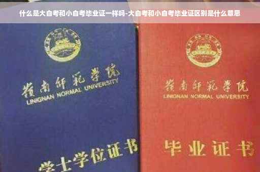 什么是大自考和小自考毕业证一样吗-大自考和小自考毕业证区别是什么意思