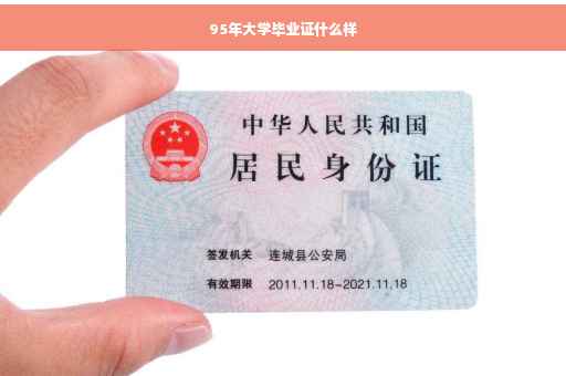 95年大学毕业证什么样