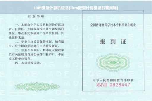 IBM微型计算机证书(ibm微型计算机证书有用吗)