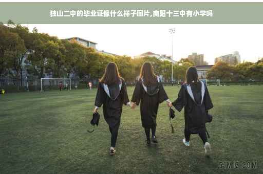 独山二中的毕业证像什么样子图片,南阳十三中有小学吗