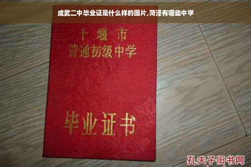 成武二中毕业证是什么样的图片,菏泽有哪些中学
