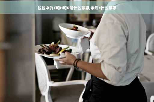 拉拉中的T和H和P是什么意思,素质s什么意思