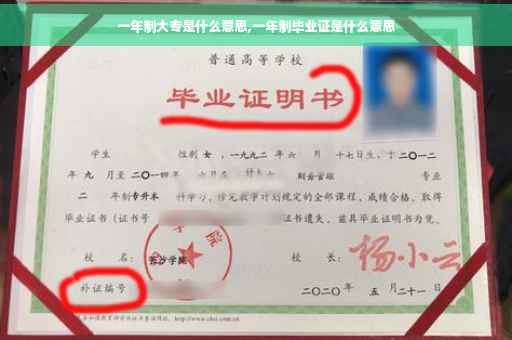 一年制大专是什么意思,一年制毕业证是什么意思