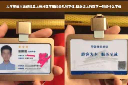 大学英语六级成绩单上总分数字用的是几号字体,毕业证上的数字一般是什么字体