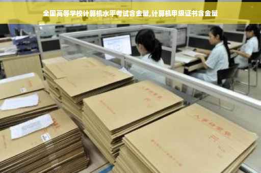 全国高等学校计算机水平考试含金量,计算机甲级证书含金量