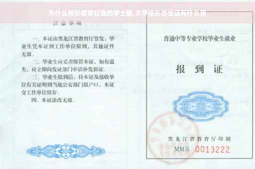 为什么校长都穿红色的学士服,大学校长毕业证有什么用