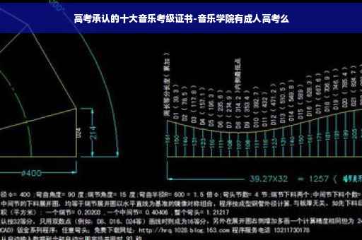 高考承认的十大音乐考级证书-音乐学院有成人高考么