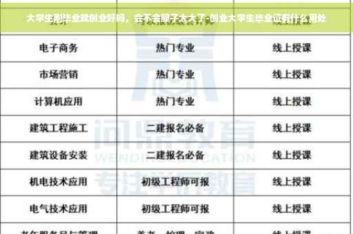 大学生刚毕业就创业好吗，会不会胆子太大了-创业大学生毕业证有什么用处