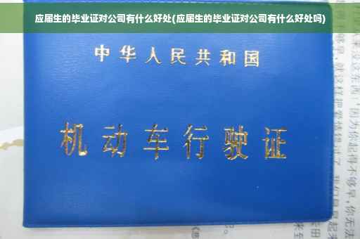 应届生的毕业证对公司有什么好处(应届生的毕业证对公司有什么好处吗)