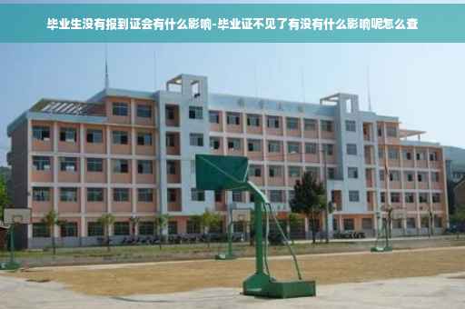 毕业生没有报到证会有什么影响-毕业证不见了有没有什么影响呢怎么查