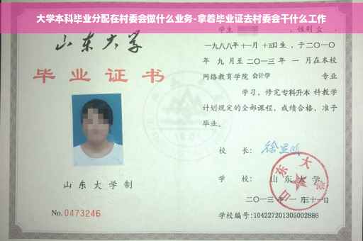 大学本科毕业分配在村委会做什么业务-拿着毕业证去村委会干什么工作