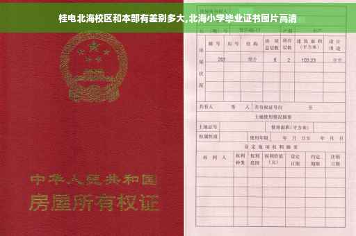 桂电北海校区和本部有差别多大,北海小学毕业证书图片高清