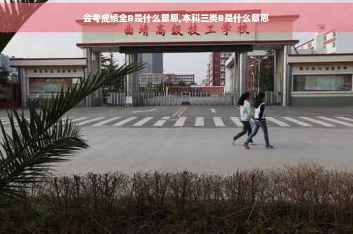 会考成绩全B是什么意思,本科三类B是什么意思