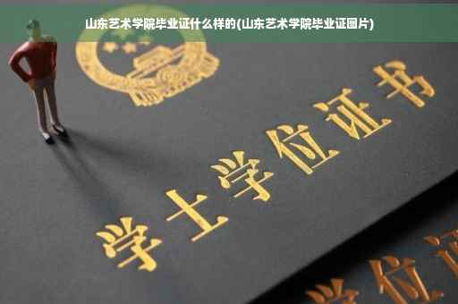 山东艺术学院毕业证什么样的(山东艺术学院毕业证图片)