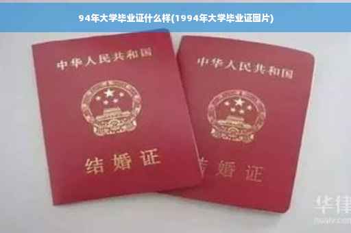 94年大学毕业证什么样(1994年大学毕业证图片)